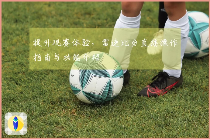 提升观赛体验，雷速比分直播操作指南与功能介绍